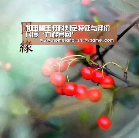 九游官网