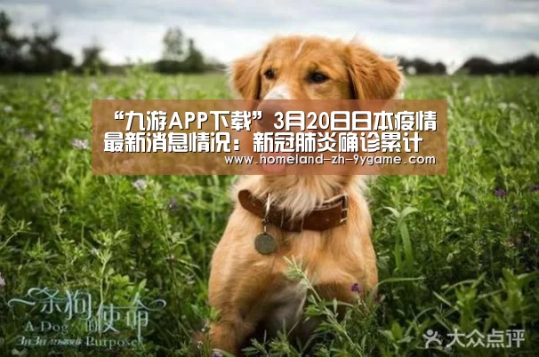 九游游戏中心
