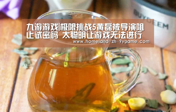 九游游戏|极限挑战5黄磊被导演阻止试密码 太聪明让游戏无法进行下去(图2) 九游APP下载