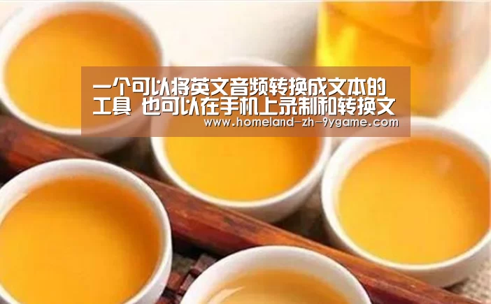 一个可以将英文音频转换成文本的工具 也可以在手机上录制和转换文本_九游游戏(图3) 九游游戏中心