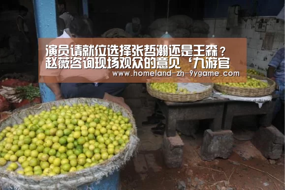 演员请就位选择张哲瀚还是王森?赵薇咨询现场观众的意见‘九游官网’(图3) 九游官网
