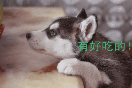 客厅用多大的灯合适?客厅灯怎么选购?-九游官网(图3) 九游APP下载