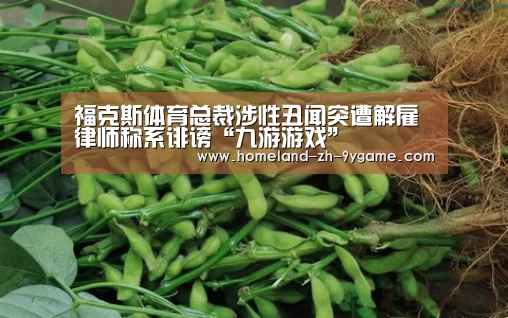 福克斯体育总裁涉性丑闻突遭解雇 律师称系诽谤“九游游戏”(图1) 九游游戏